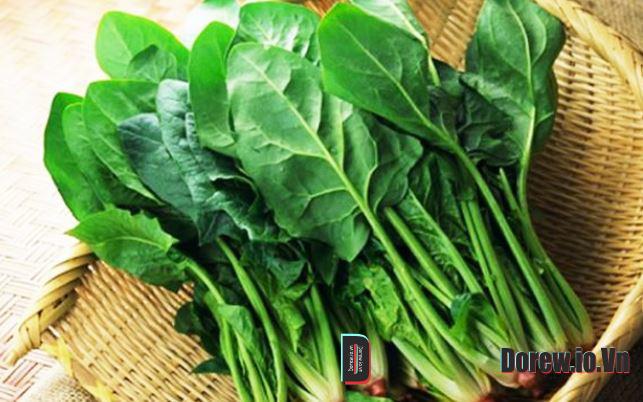 Cải Bó Xôi 1