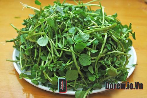 Cải Xoong