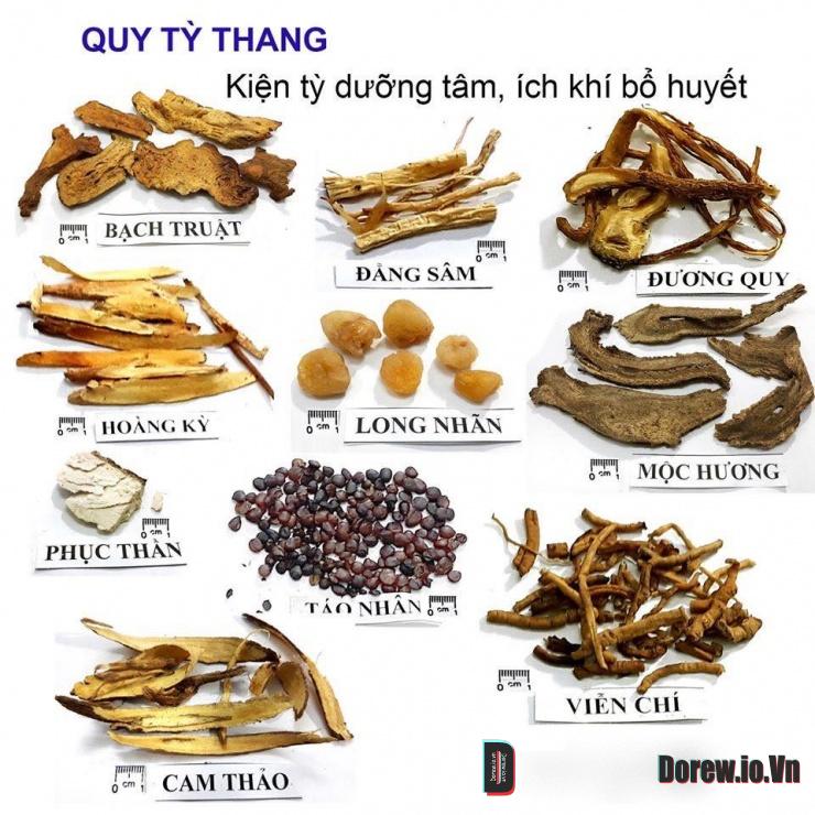 Bài thuốc Quy tỳ thang