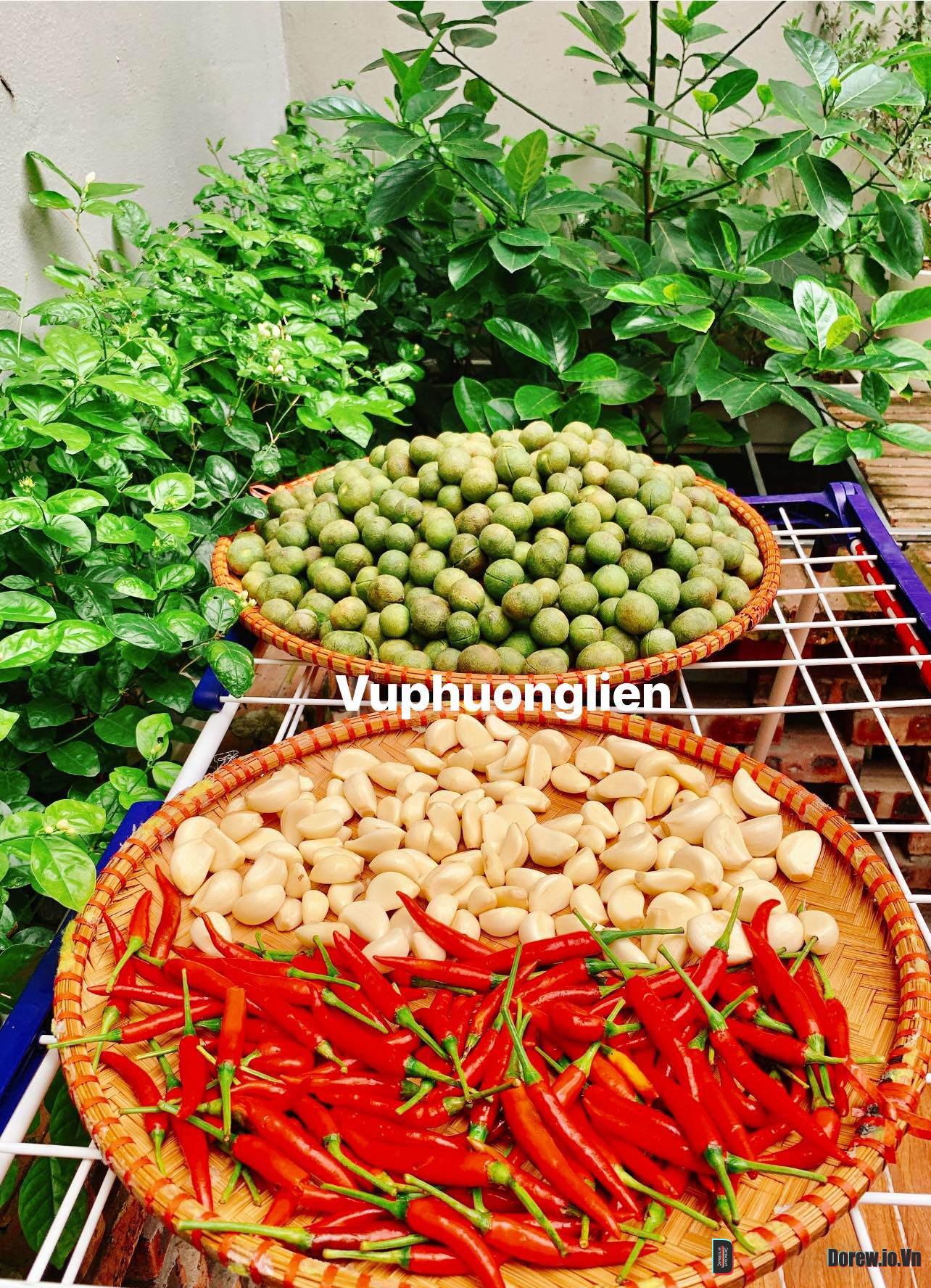 Sấu Ngâm Mắm 4
