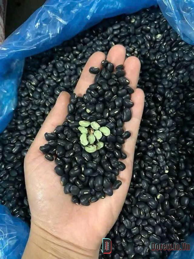 Đỗ đen 1
