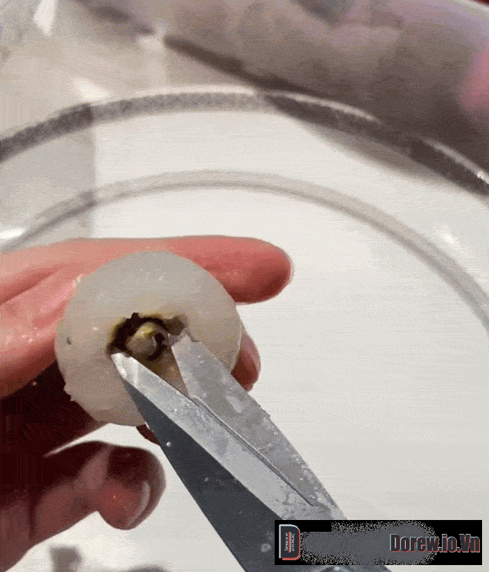 Đỗ Hà làm khúc bạch vải