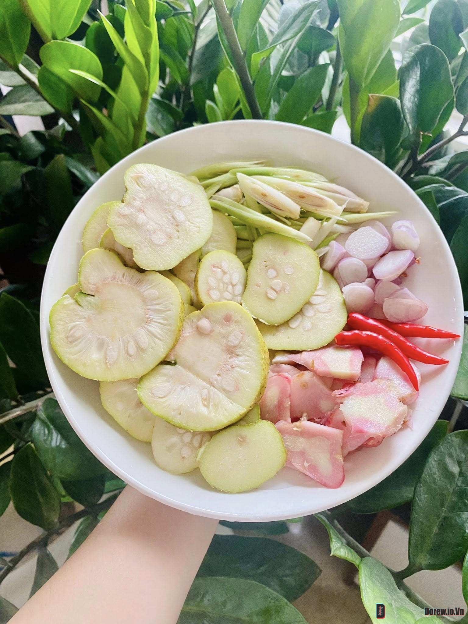 Thái thịt