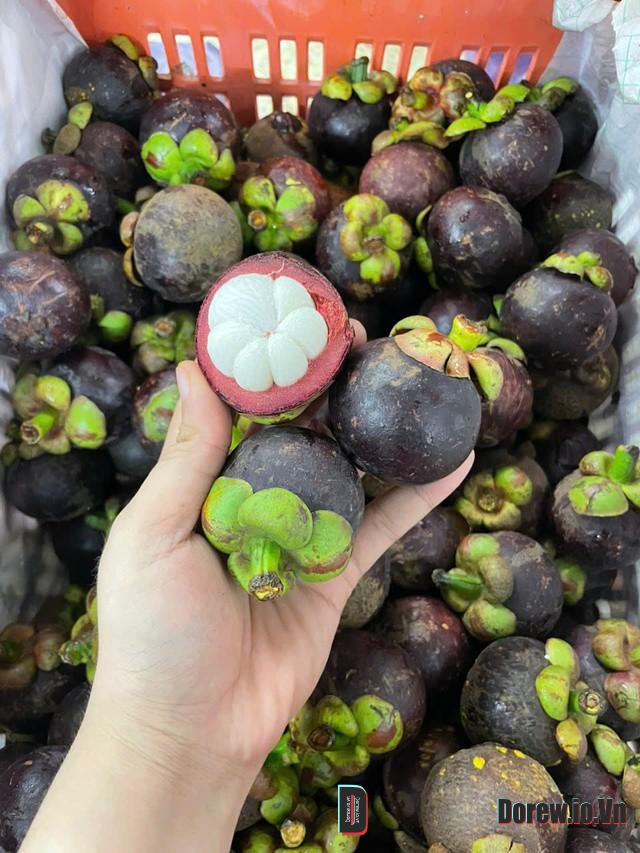 Măng cụt ngoài ăn trực tiếp còn dùng làm đồ uống thanh nhiệt ngày hè rất thơm ngon. Ảnh PT