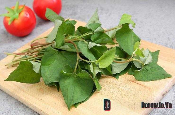 Rau dấp cá 1
