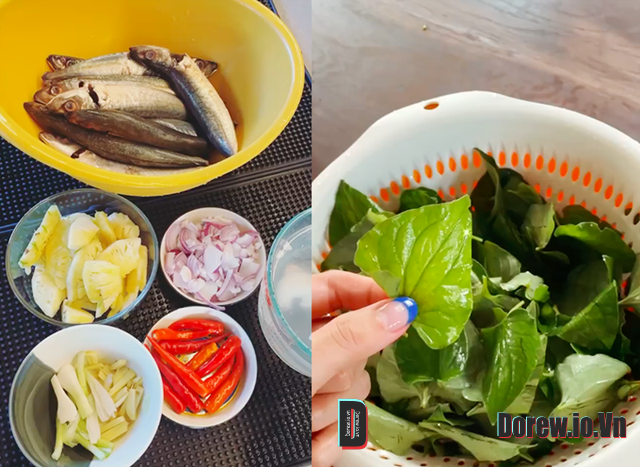 Rau dấp cá 2