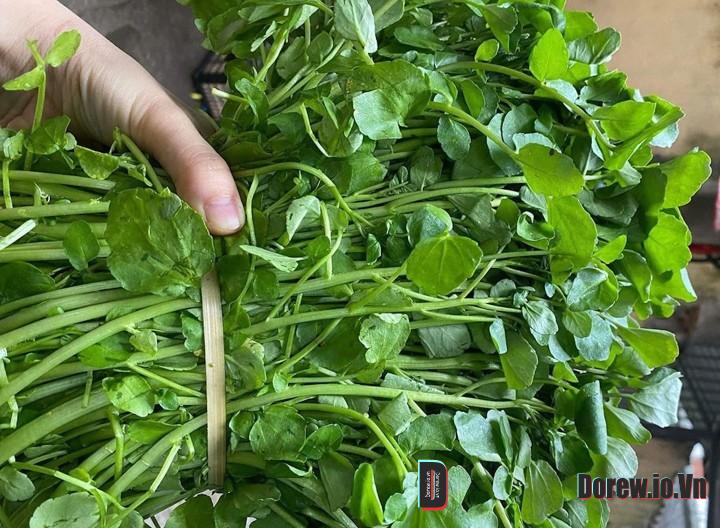 Loại rau được CDC Mỹ công bố tốt nhất thế giới lại tiềm ẩn nguy cơ gây hại gan Blog Ẩm Thực