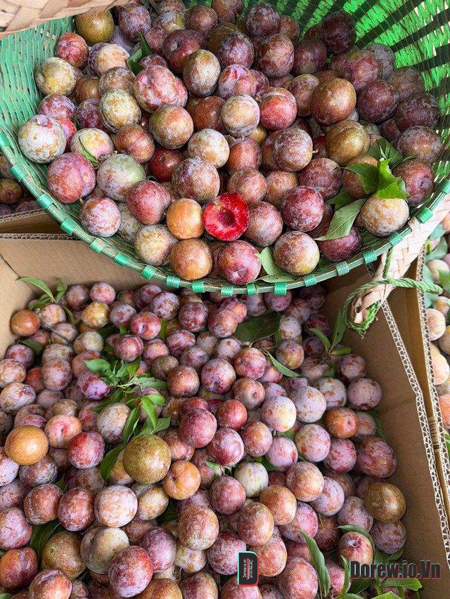 Blog Ẩm Thực