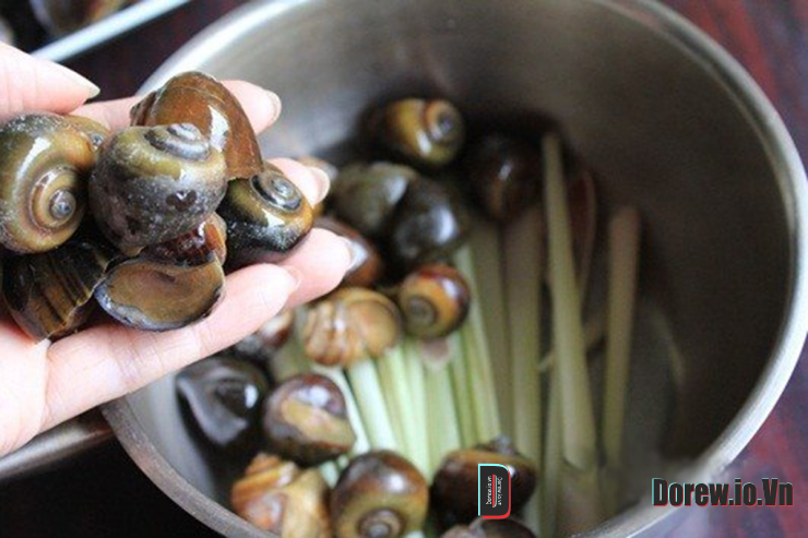 Luộc ốc phải nhớ ngay những điều này ốc vừa sạch lại ngon giòn chuẩn vị nhà hàng 1