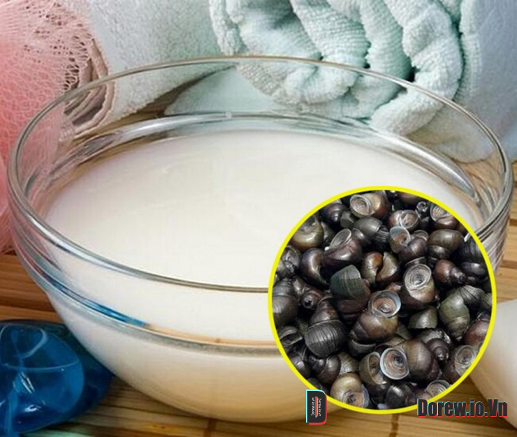 Luộc ốc phải nhớ ngay những điều này ốc vừa sạch lại ngon giòn chuẩn vị nhà hàng 2