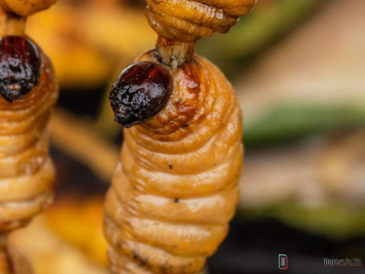 Chontacuro 1