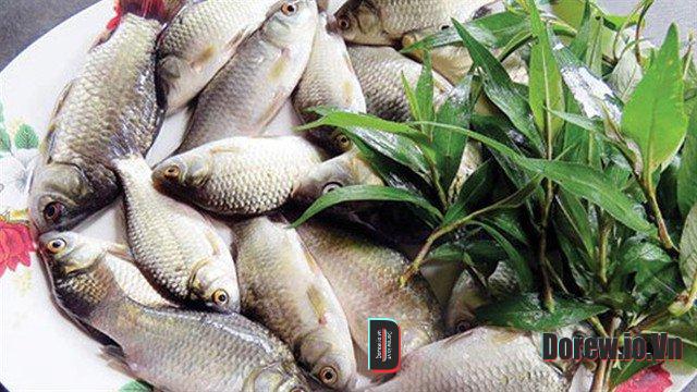 Nguyên liệu cháo cá diếc