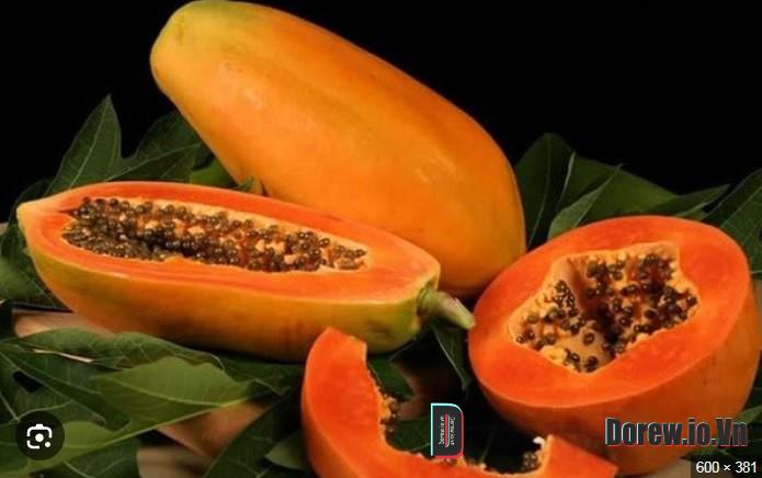 Đu Đủ 3